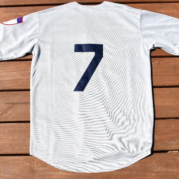 New York Other - New!! Mickey Mantle New York Yankees GRAY Pinstripe Baseball Jersey Men's Sizes